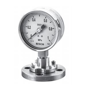 511P- Flanged type Diaphragm Seal Pressure Gauge  (511P/513P)